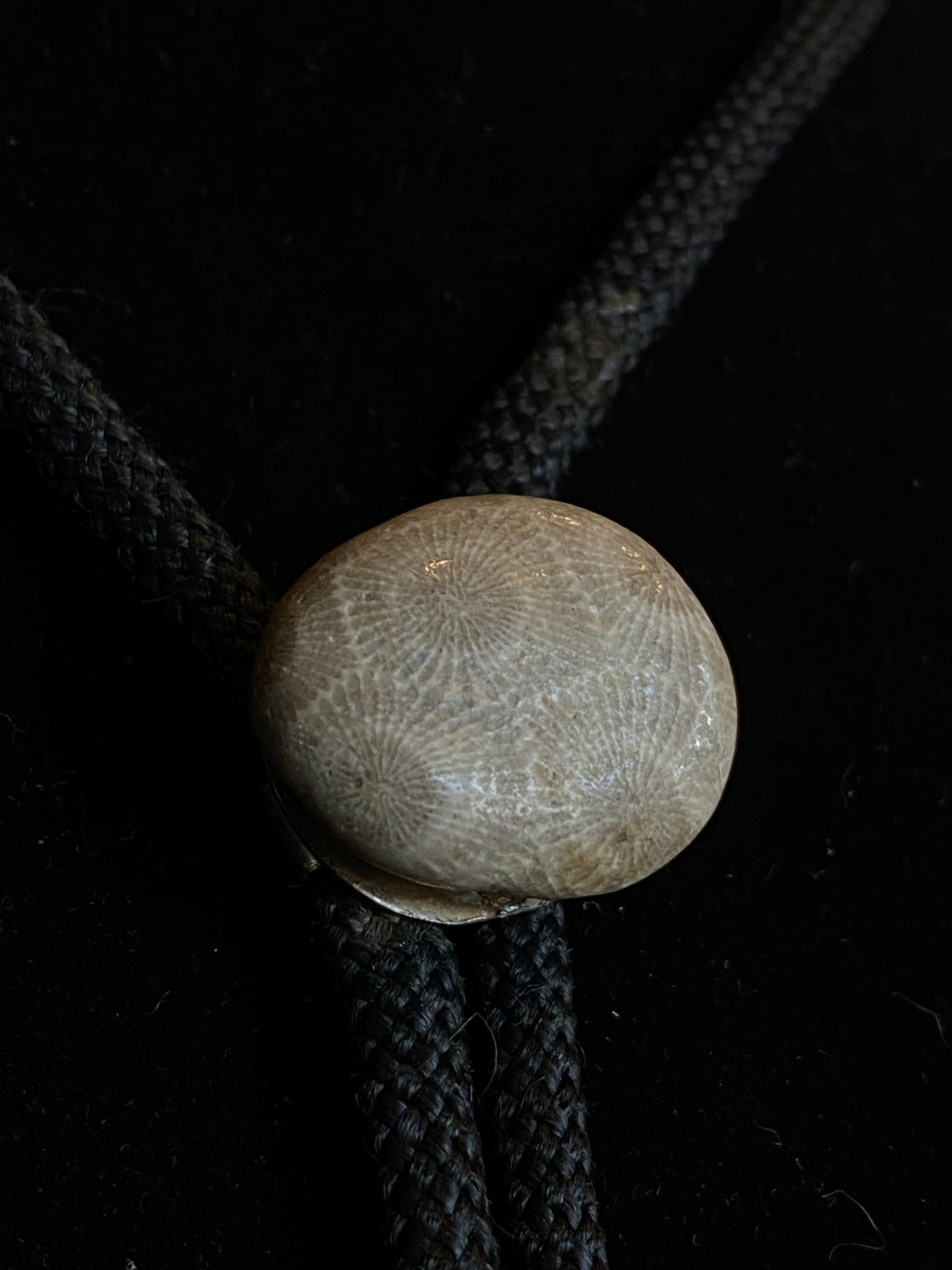 Fossilized Coral Bolo Tie