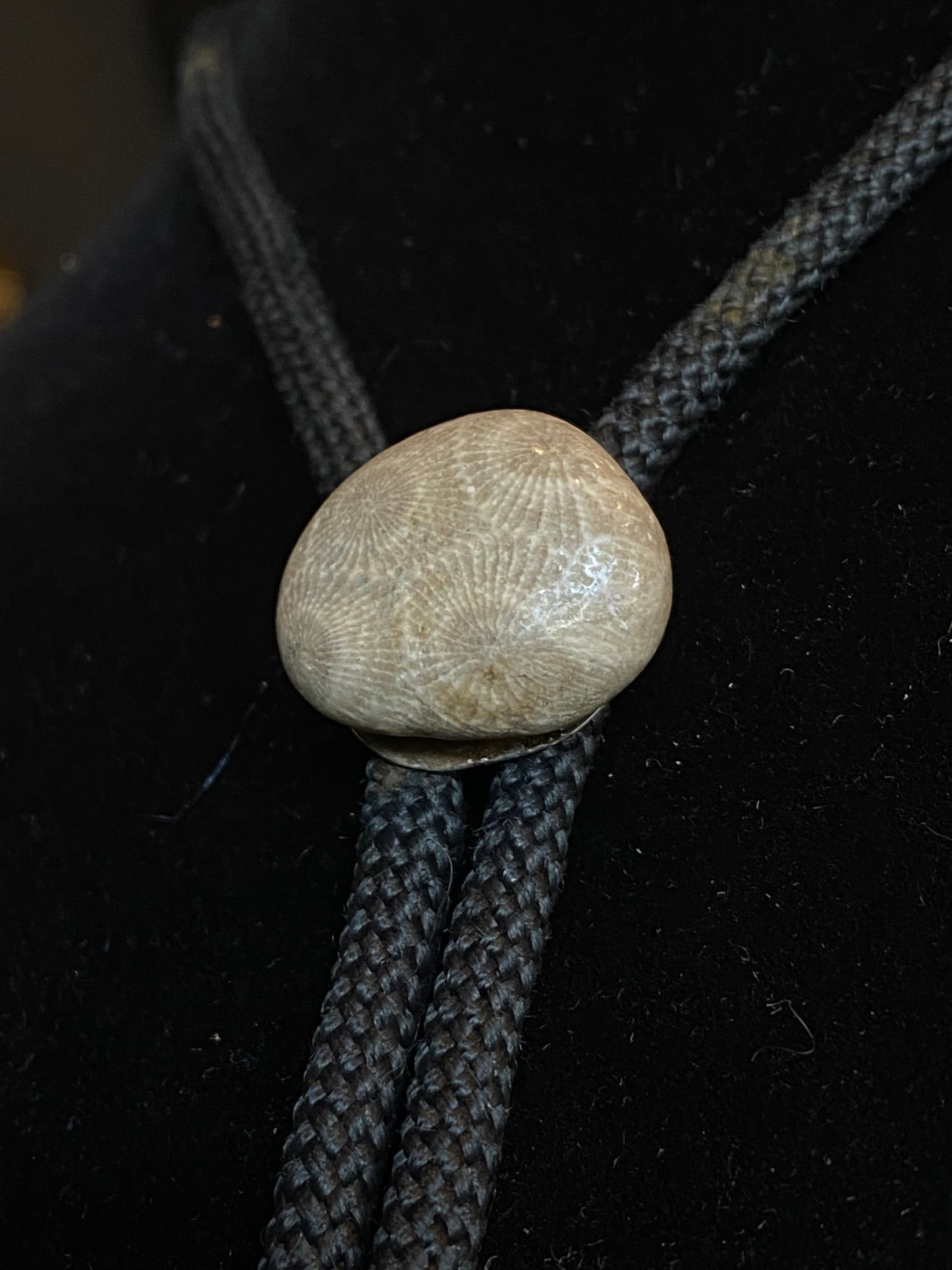 Fossilized Coral Bolo Tie