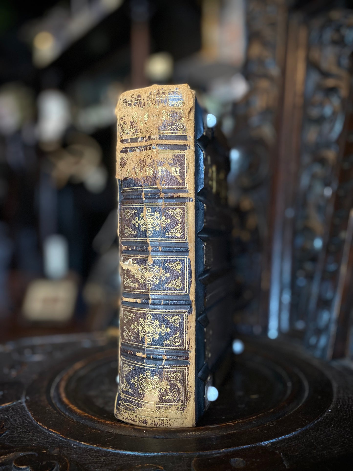 Ornate Leather Hard Cover Antique Photo Album With Victorian Photos Inside